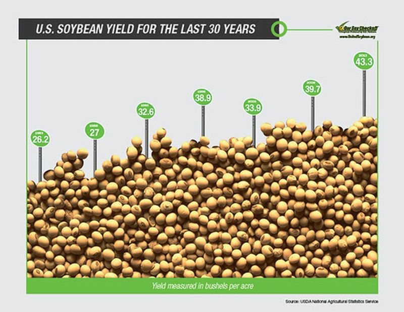 resources of Non GMO Soybeans exporters