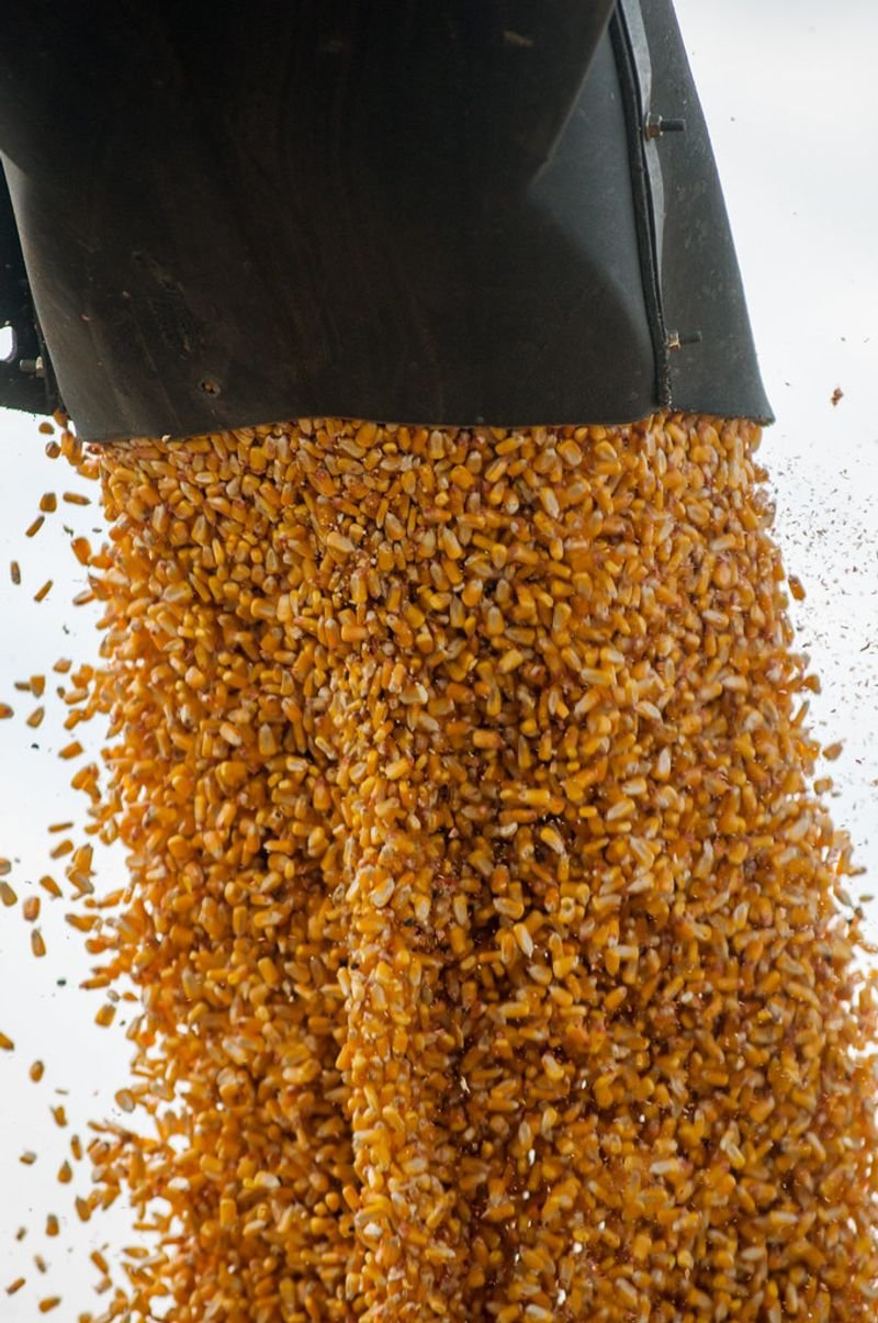 resources of Distiller's Grains Dryer exporters