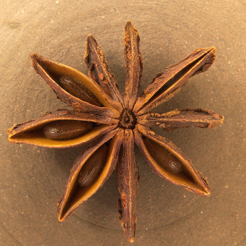Star Anise Exporters, Wholesaler & Manufacturer | Globaltradeplaza.com