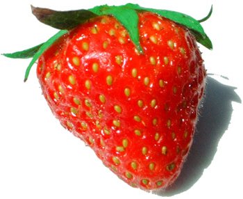 Strawberry Exporters, Wholesaler & Manufacturer | Globaltradeplaza.com