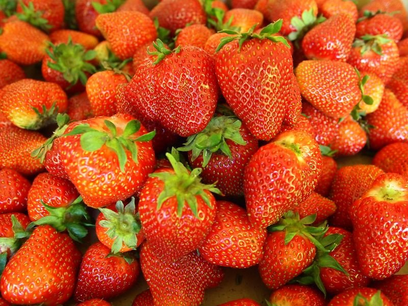 resources of LDPE Agri Film (Strawberry/ Fume film) exporters