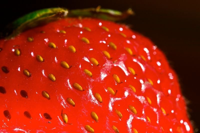 resources of Strawberry pulp exporters