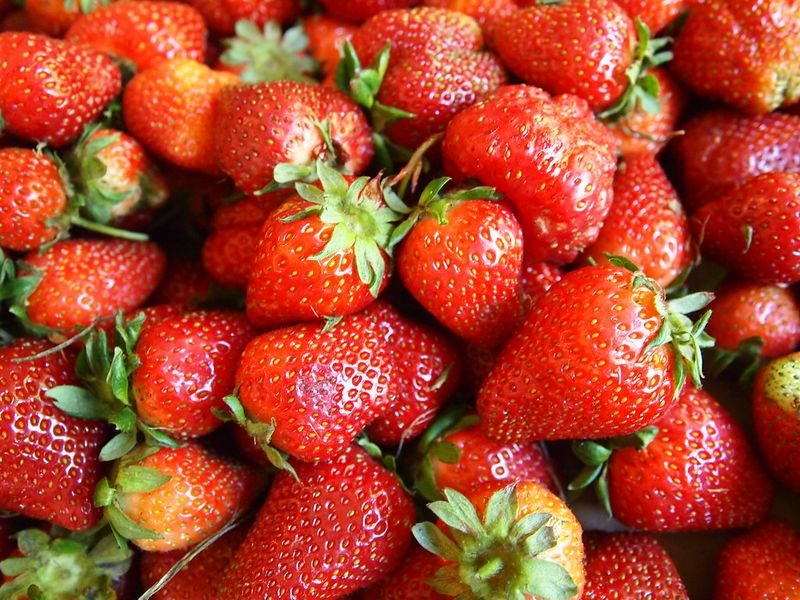 resources of LDPE Agri Film ( Strawberry/ Fume film) exporters