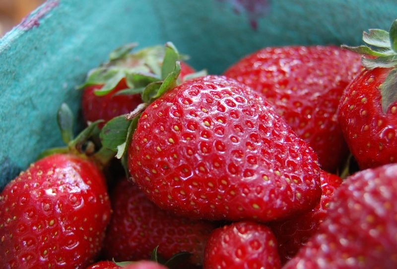 resources of Strawberry exporters