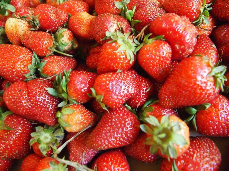 resources of Frozen strawberry exporters
