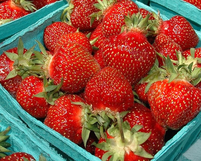 resources of Amazing strawberry jam exporters