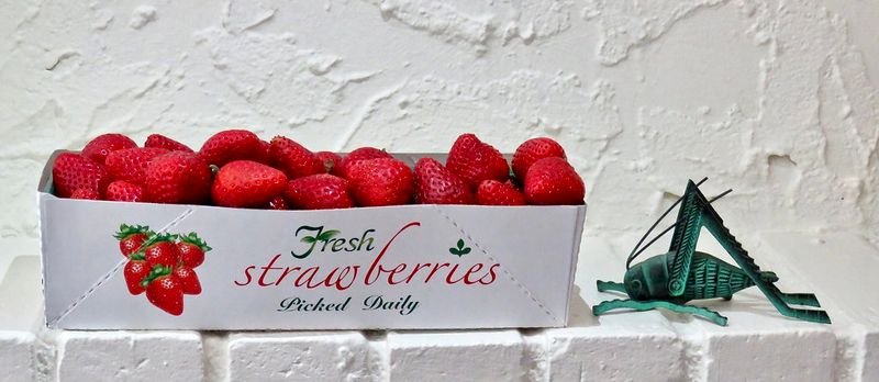 resources of Strawberry exporters
