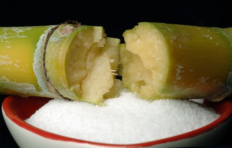 resources of Sugarcane Bagasse Plates exporters