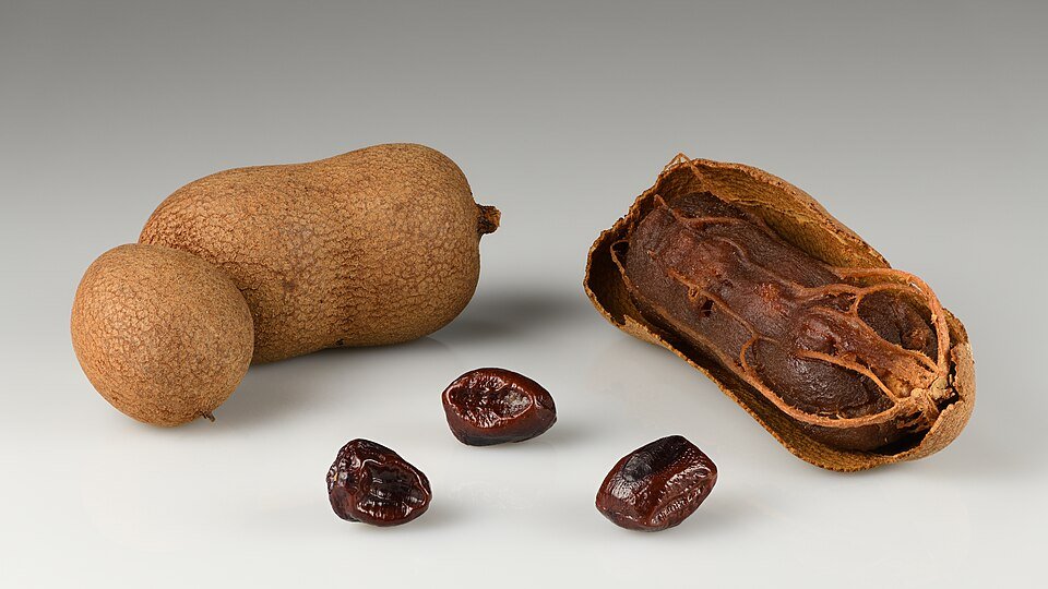 Tamarind Seed Exporters, Wholesaler & Manufacturer | Globaltradeplaza.com