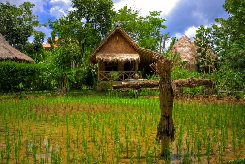 resources of Bamboo Gazebo And Tiki Bar exporters resources of Bamboo Gazebo And Tiki Bar exporters