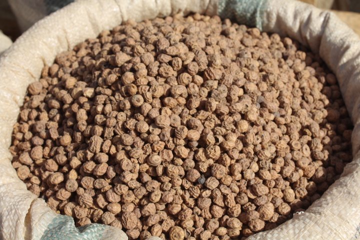 Tiger Nuts Exporters, Wholesaler & Manufacturer | Globaltradeplaza.com