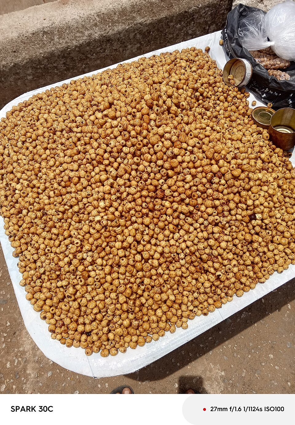 resources of Tiger Nuts exporters