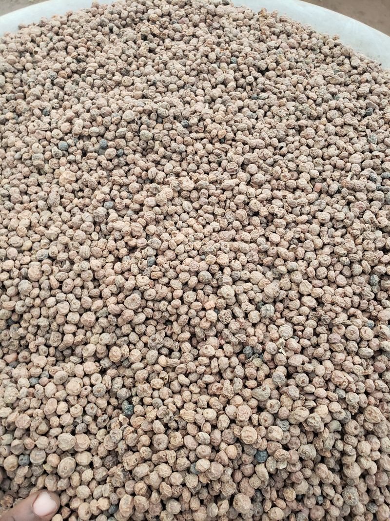 resources of Bajra Seed exporters