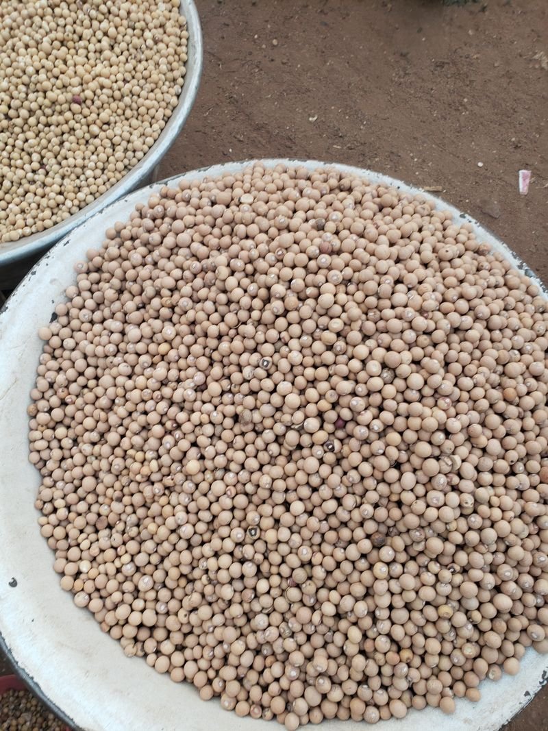 resources of Bajra exporters