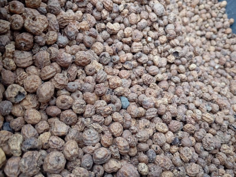 resources of Cubeb exporters