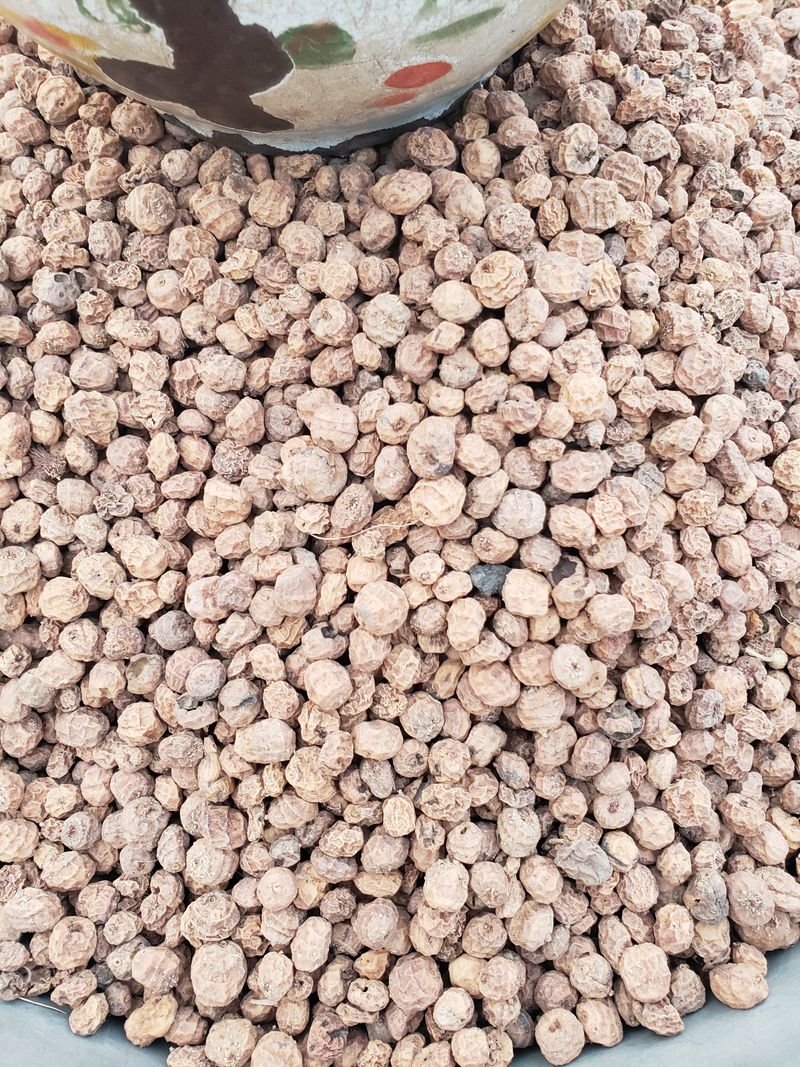 resources of Dried Regular White Copra exporters