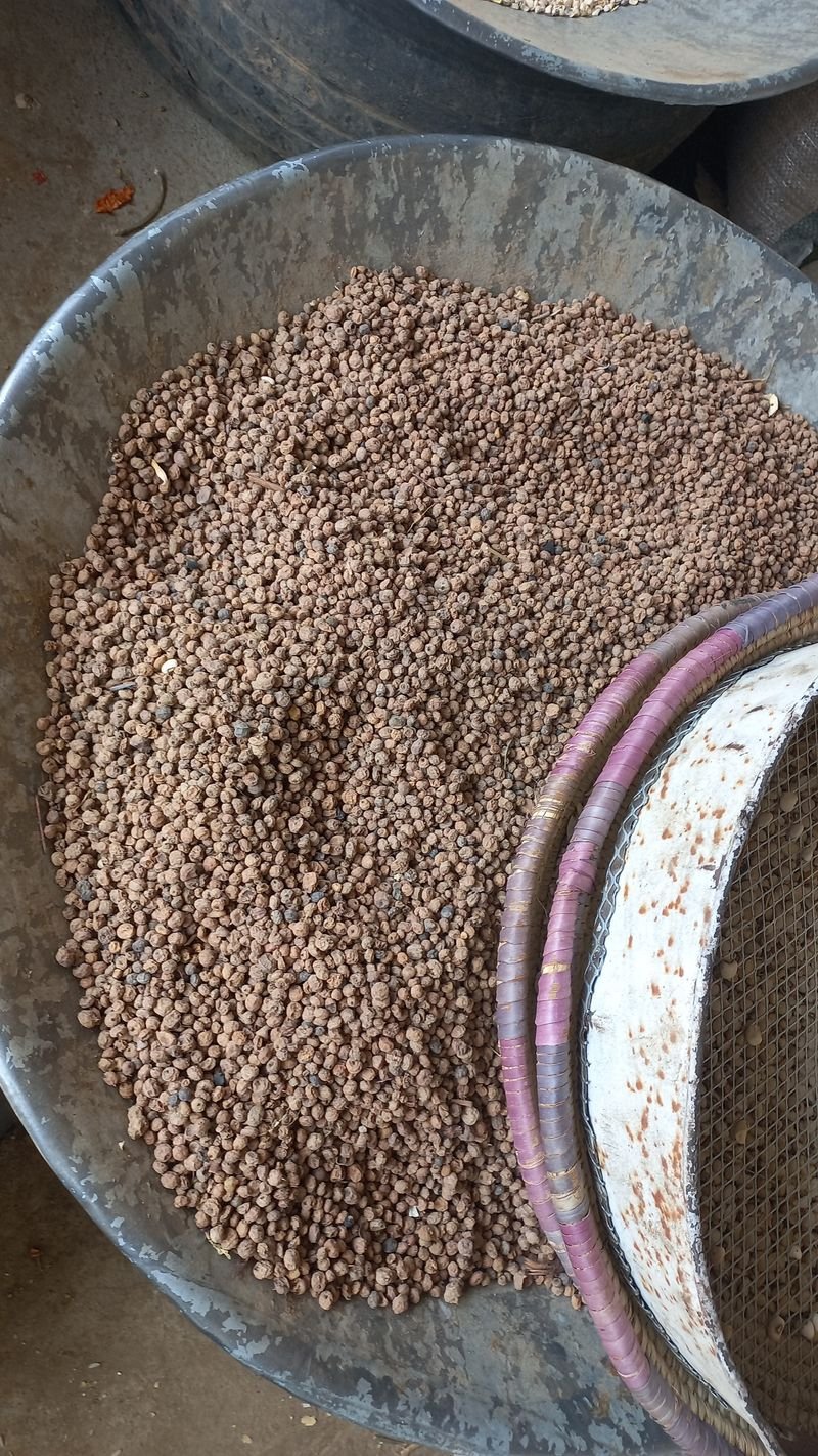 resources of Red Quinoa Seed exporters