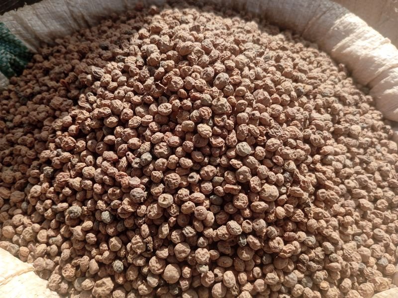 resources of High Quality Teff Grains exporters