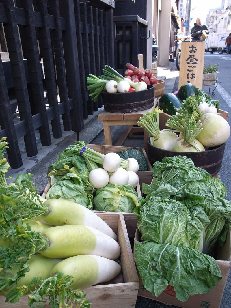resources of Vegetables exporters