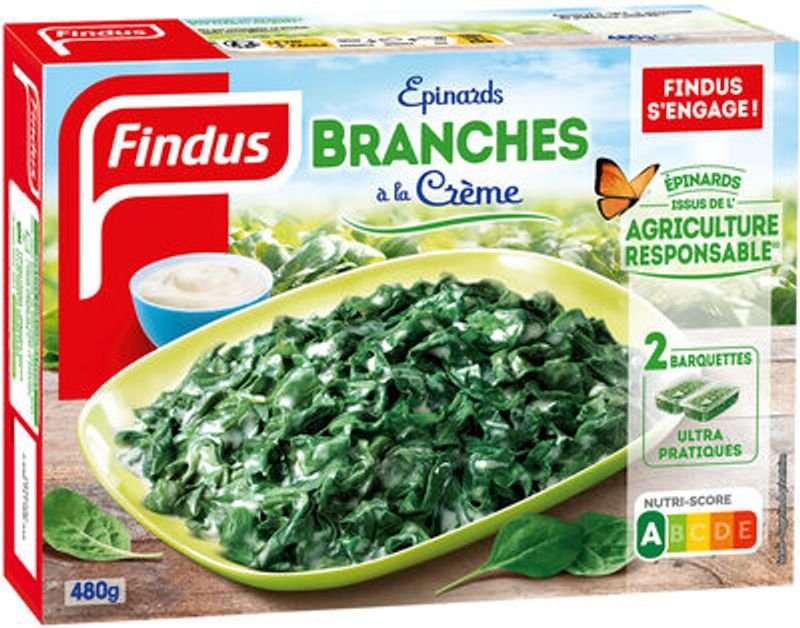 resources of Frozen Taro - Frozen Vegetables Vietnam exporters