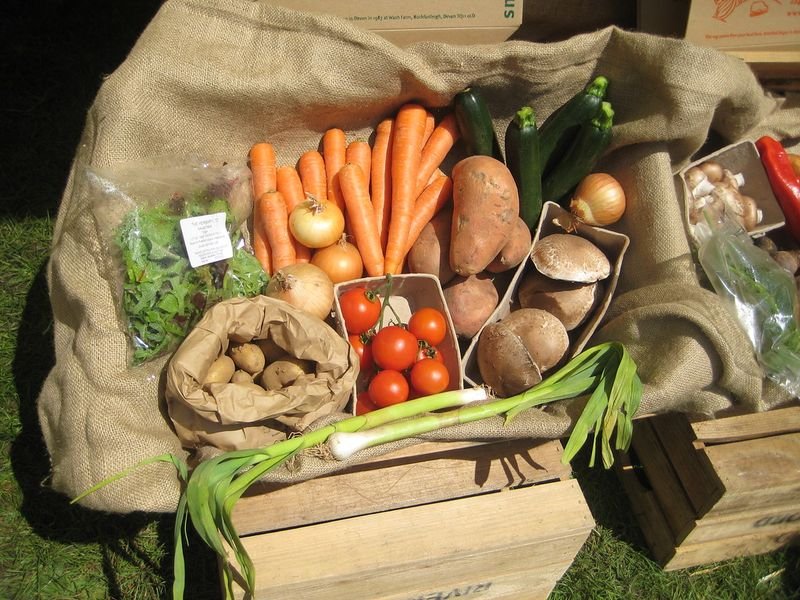 resources of Vegetables Seeds exporters resources of Vegetables Seeds exporters
