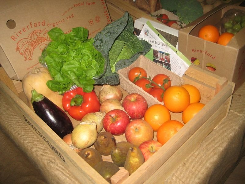 resources of Fruit Boxes exporters