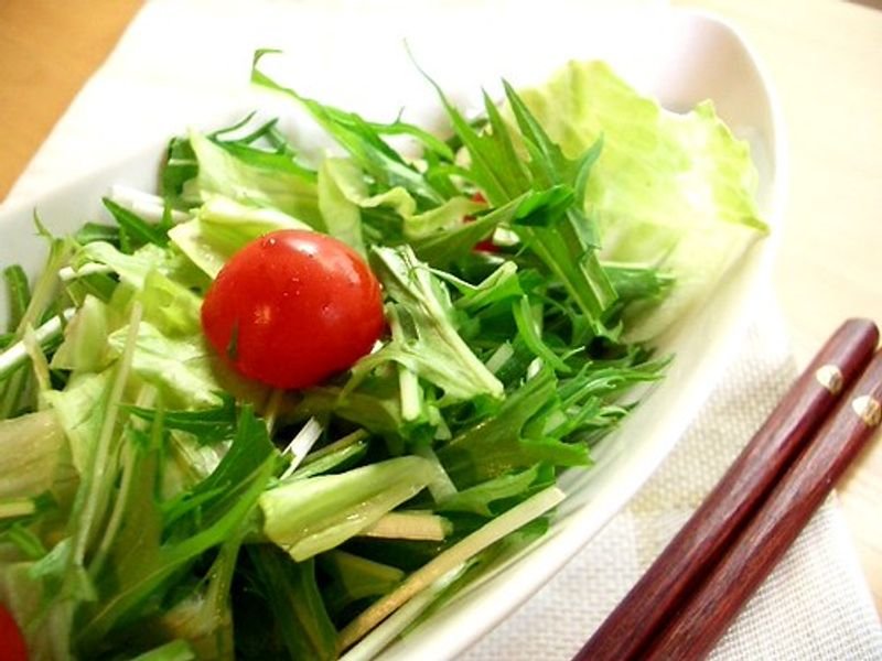 resources of Vegetables exporters