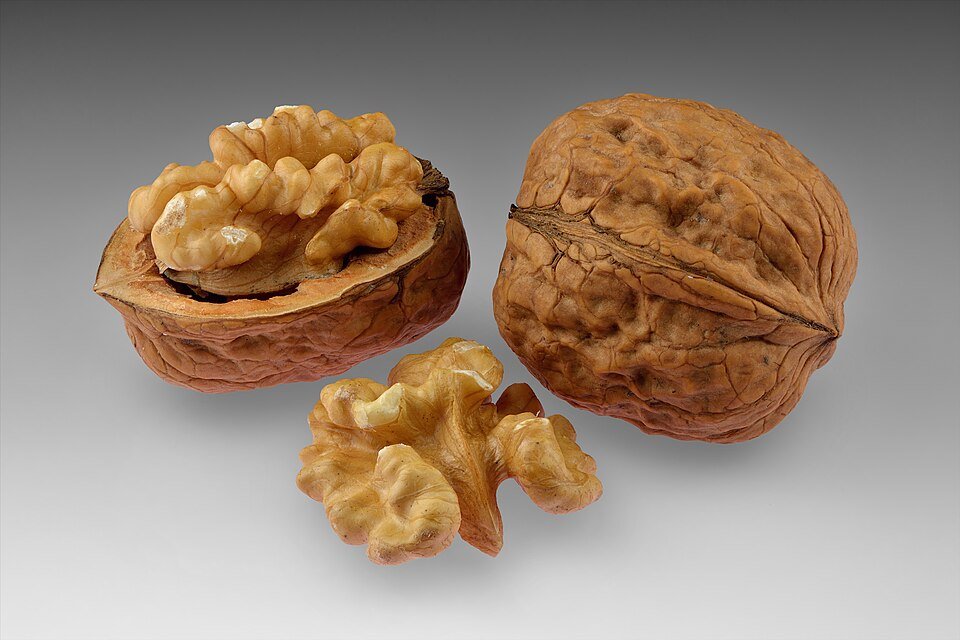 Walnuts Exporters, Wholesaler & Manufacturer | Globaltradeplaza.com