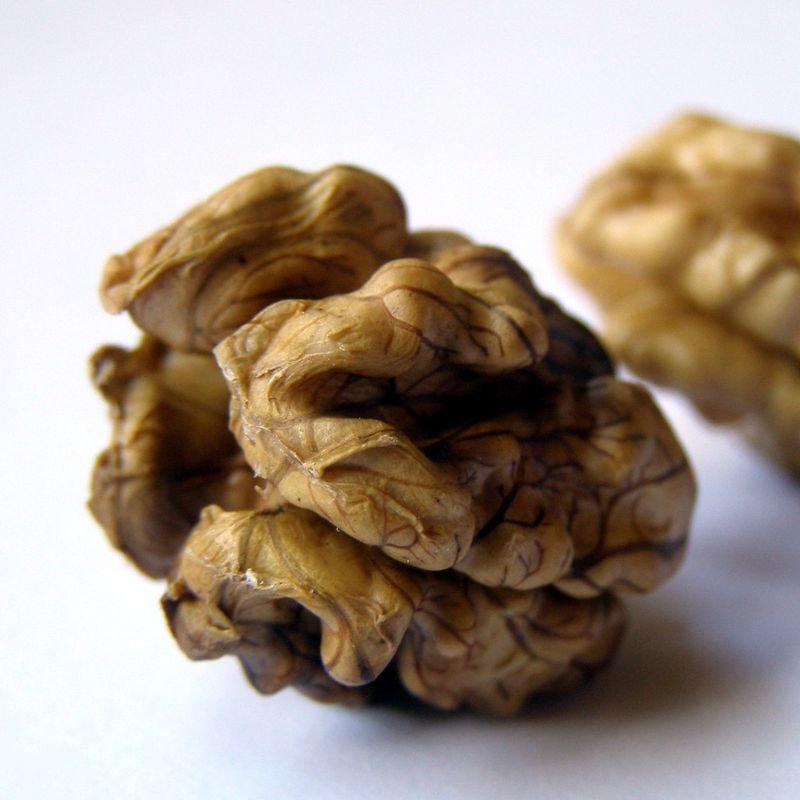 resources of Walnut exporters