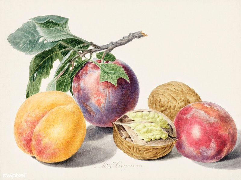 resources of Walnut exporters