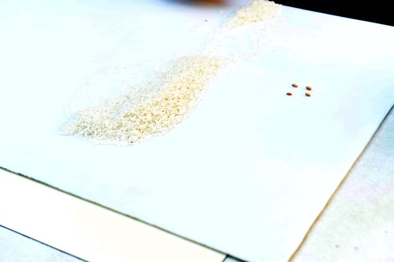 resources of Long grain white rice exporters