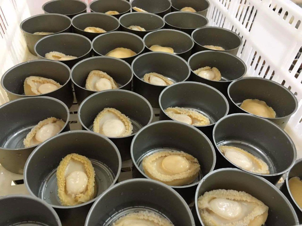 resources of Dungeness Crab - Fresh or Frozen exporters