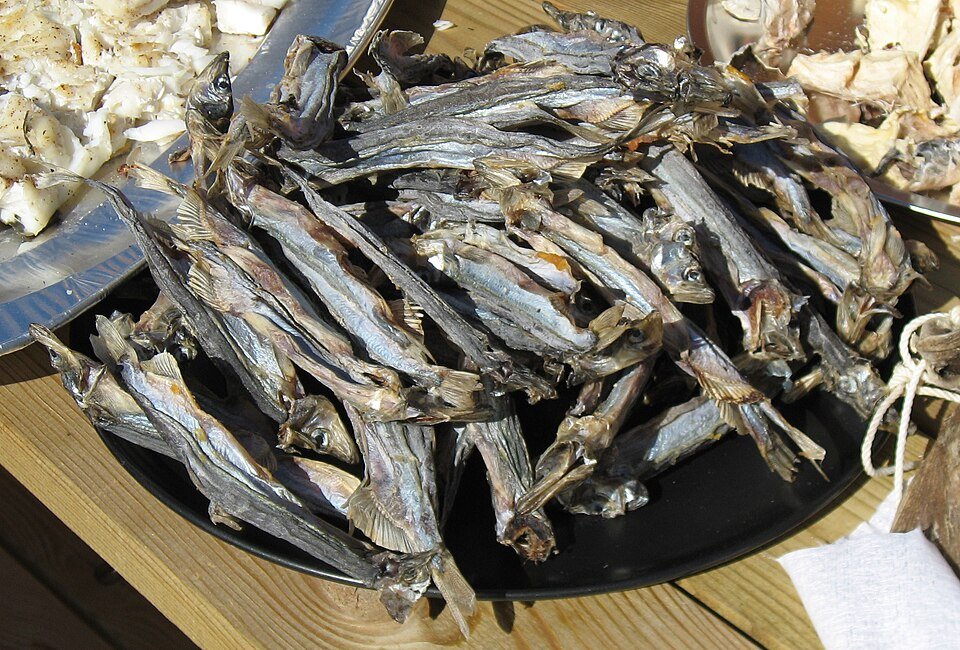 resources of Dried Fish Meal exporters