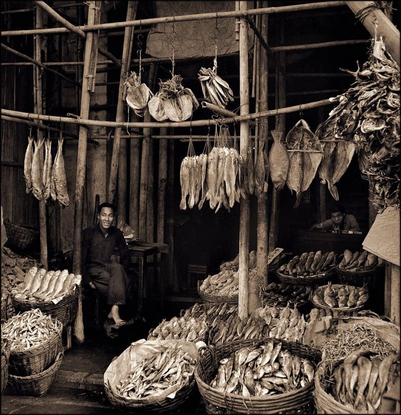 resources of Dried Filefish exporters
