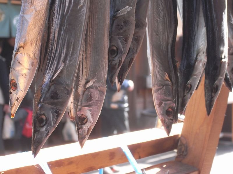 resources of Dried Fish Maws exporters