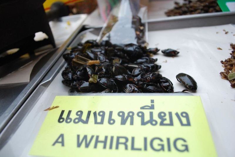 resources of Dried Flying Fish Roe exporters