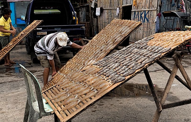 resources of Burmese teak cants exporters