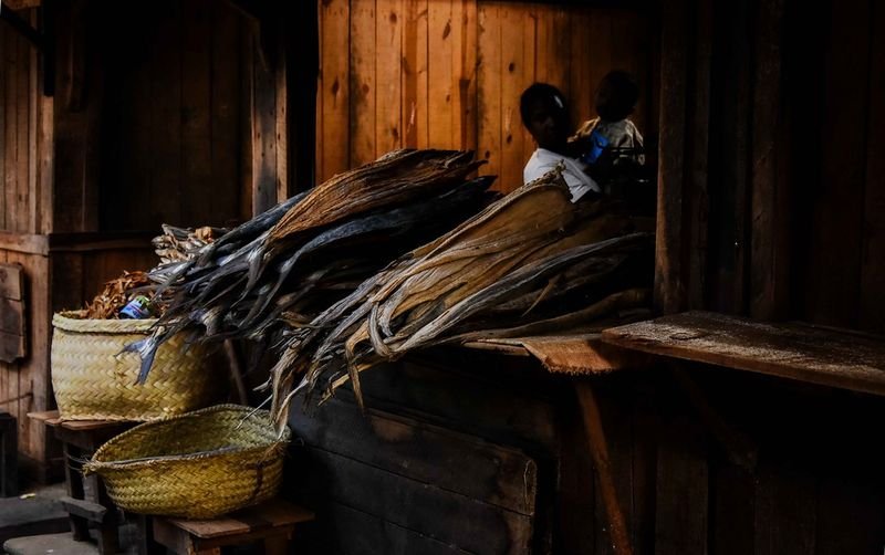 resources of Dried Cuttle Fish Bone exporters