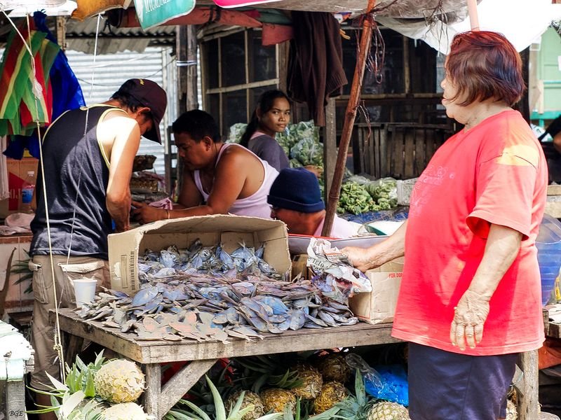 resources of Dried Anchovy, Sprat exporters