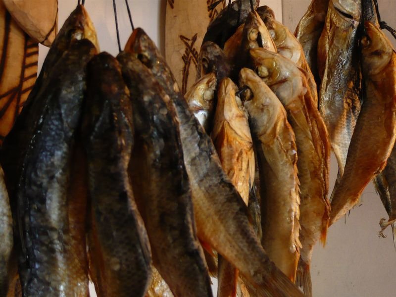 resources of Dried Fish Scales exporters resources of Dried Fish Scales exporters