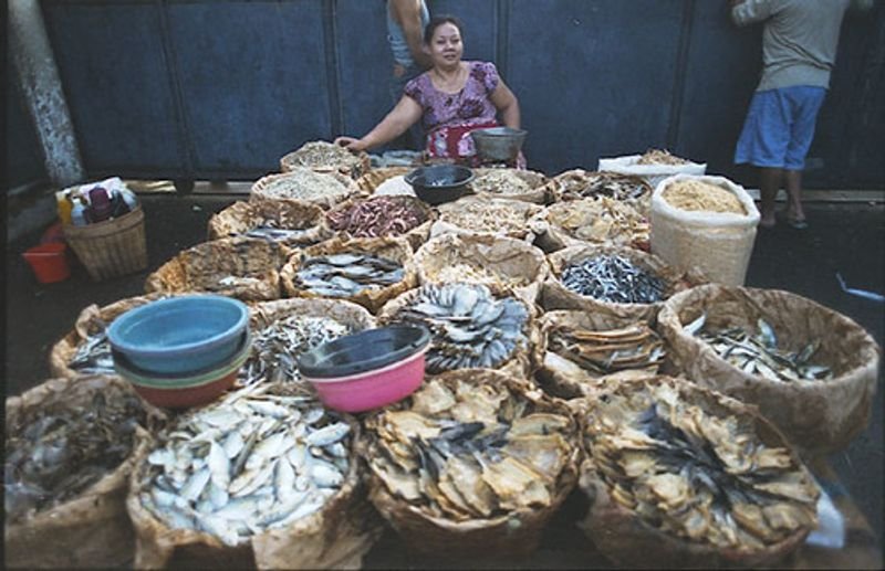 resources of Dried Anchovy exporters