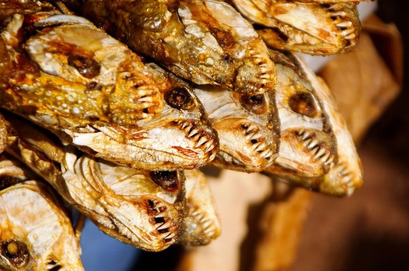resources of Dried Tilapia Scales exporters