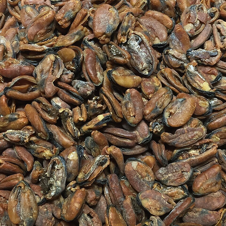 resources of Criollo Cacao Nibs exporters
