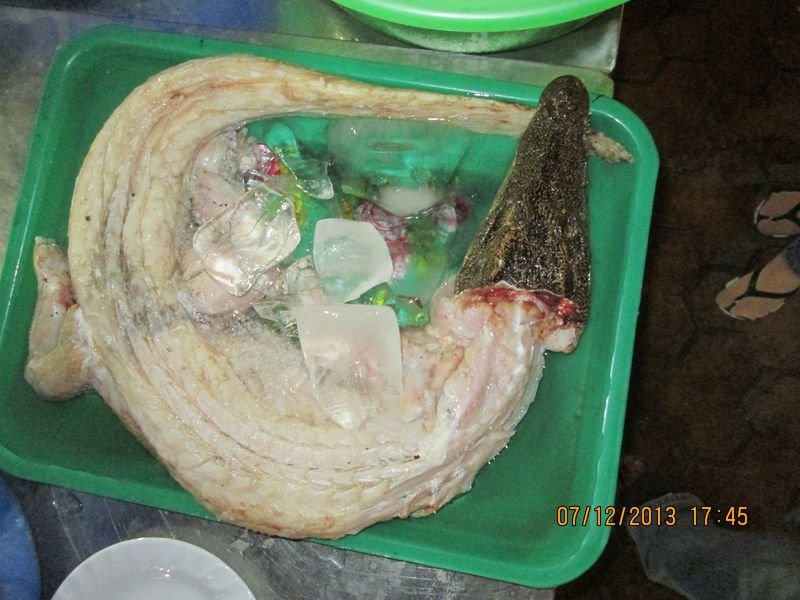 resources of Dried Pangasius/basa Skin exporters