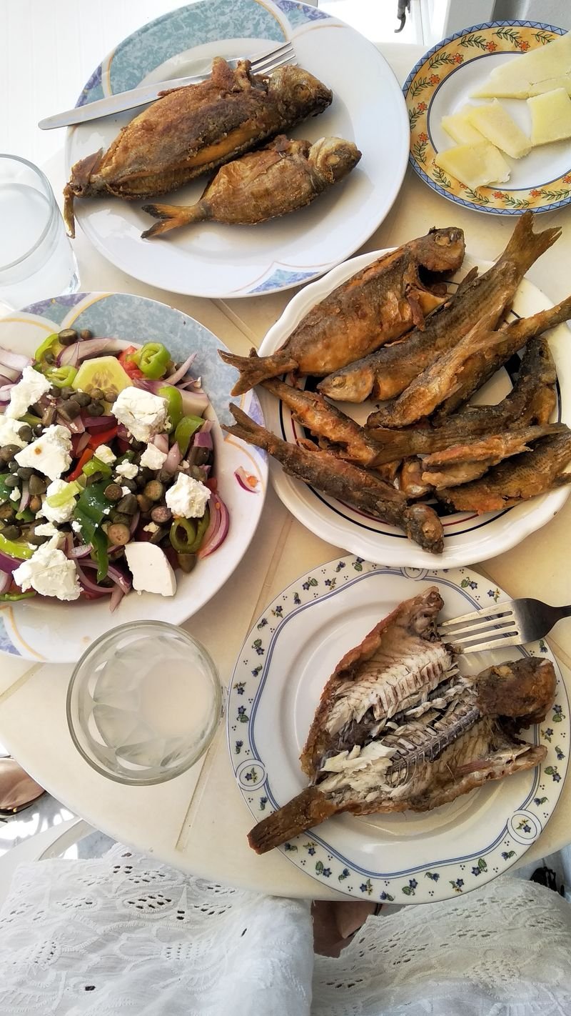 resources of Skate fish exporters resources of Skate fish exporters