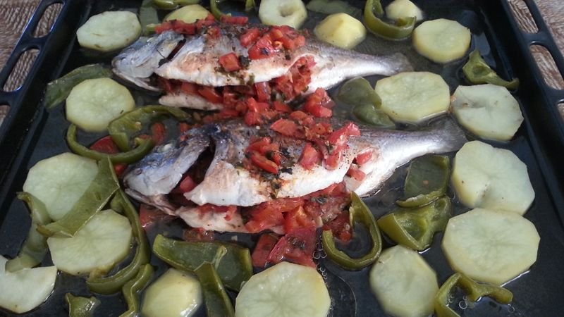 resources of Corvina - Robalo exporters