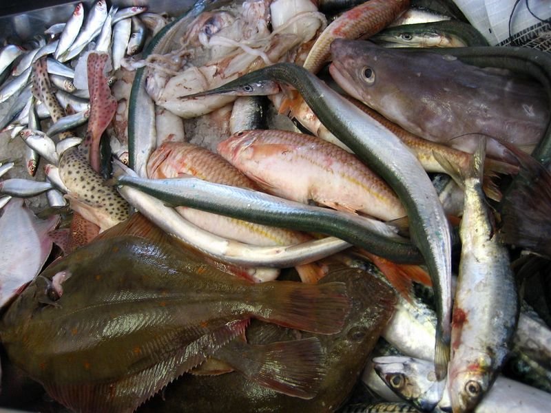 resources of Fish and crustaceans exporters