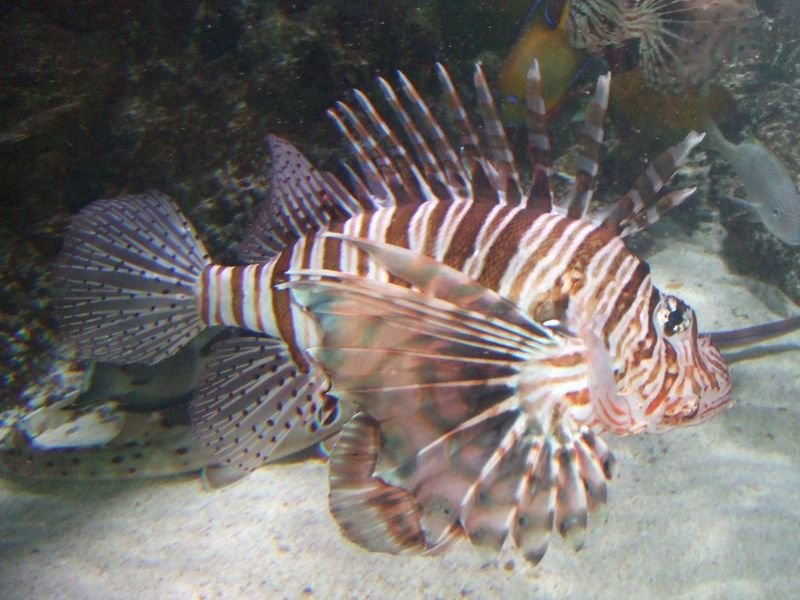 resources of Fish exporters resources of Fish exporters