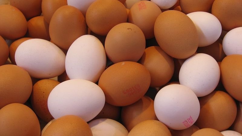 resources of Brown Eggs Origin Ukraine exporters