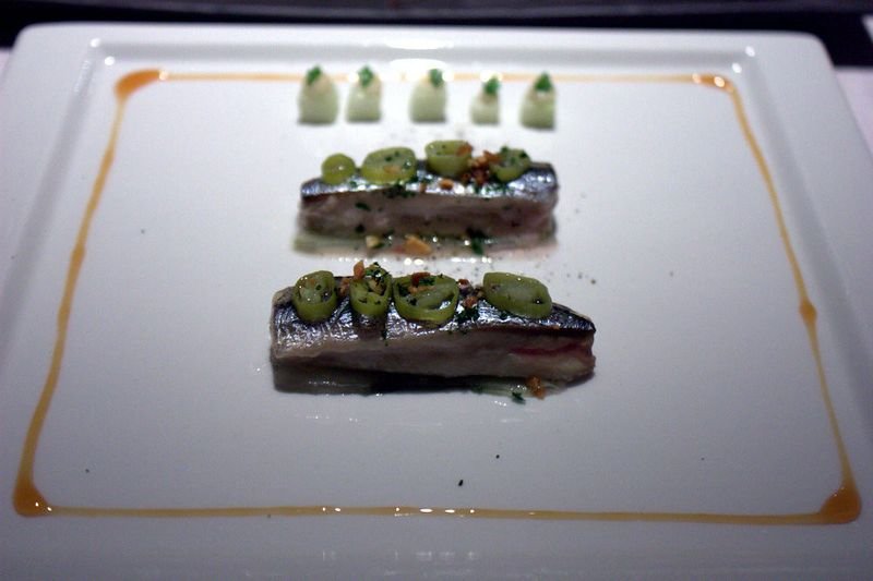 resources of Anchovy exporters
